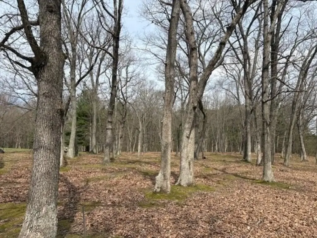 Picture 19