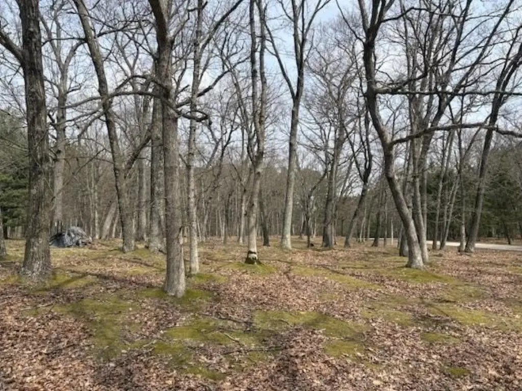 Picture 11