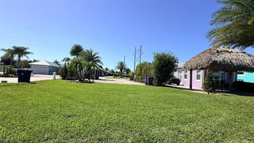 Picture 19