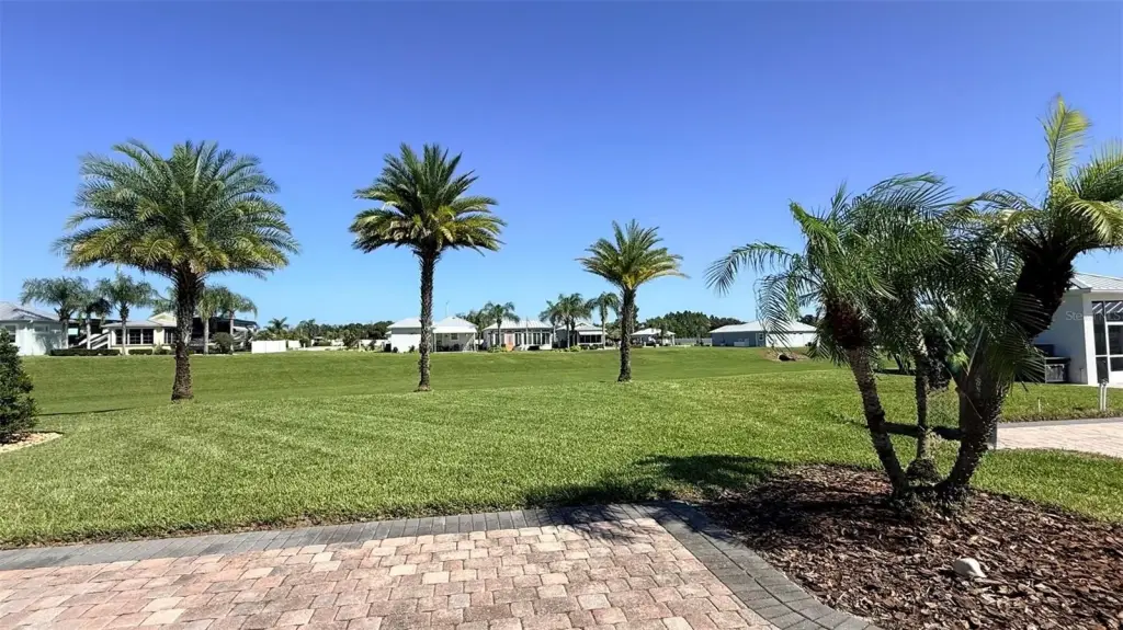 Picture 20
