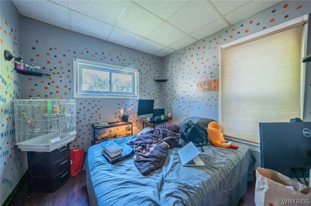 Picture 17