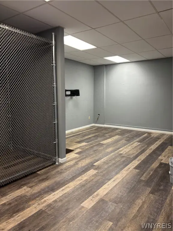 Picture 6