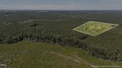 Wooded Land Tract