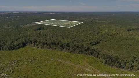 Wooded Land Tract
