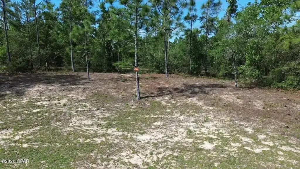 Picture 11