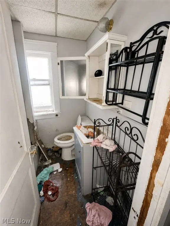 Picture 7