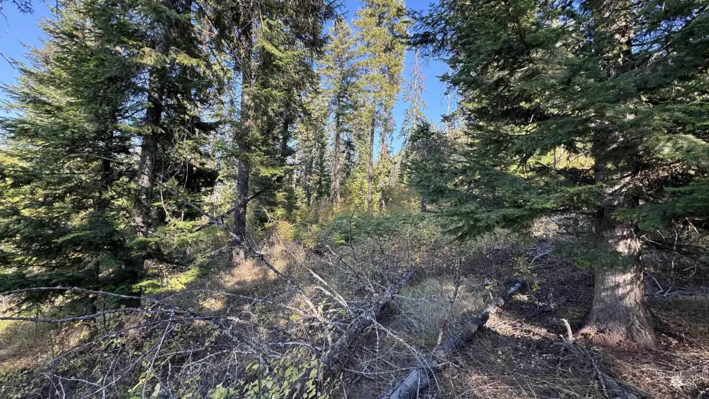 Picture 17