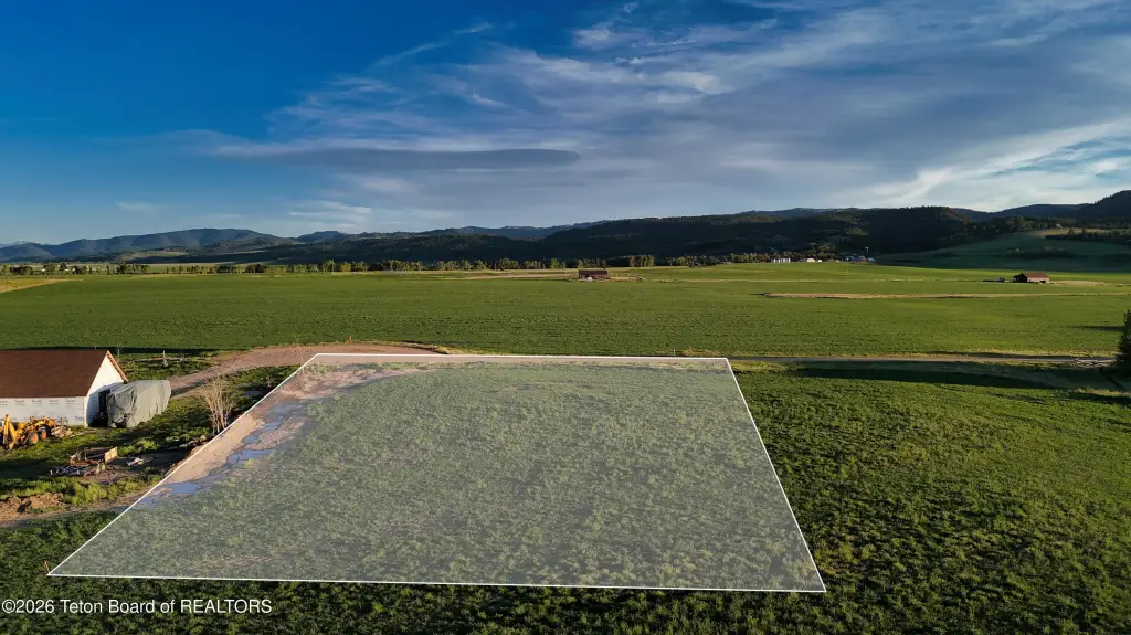 Picture 9
