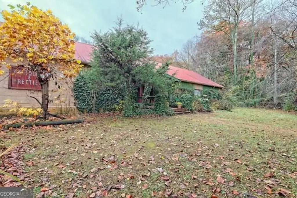 Picture 15