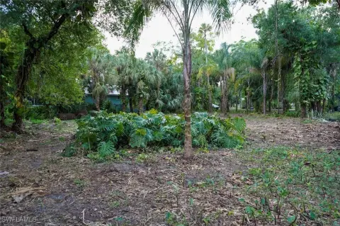Residential Land in LaBelle, FL