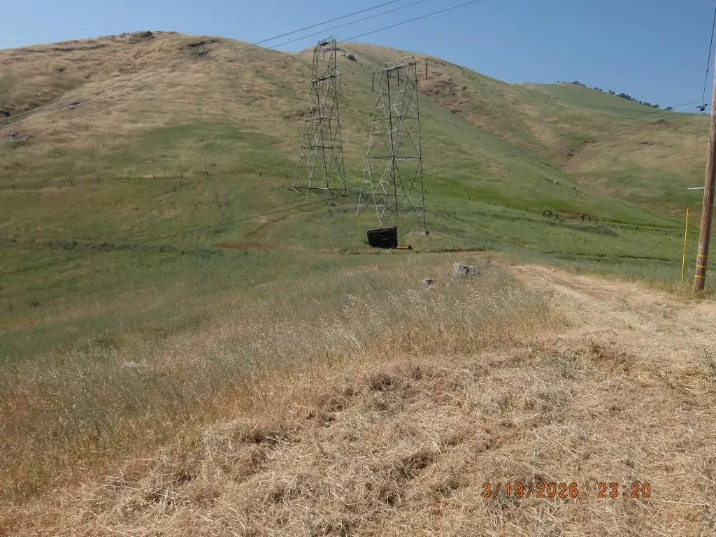 Picture 24