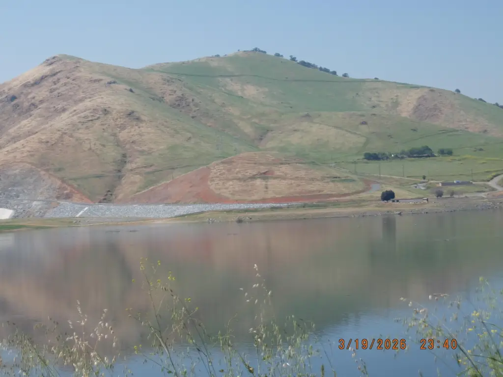 Picture 31