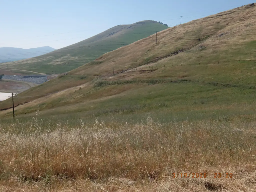 Picture 23