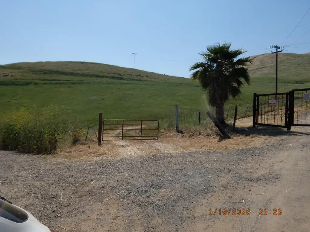 Picture 4