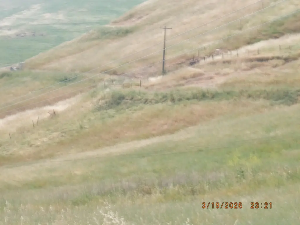 Picture 25