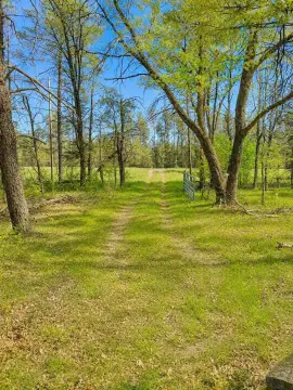 Wooded Hunting Land with Shed