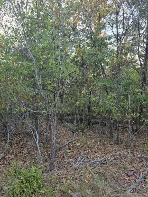 Picture 8