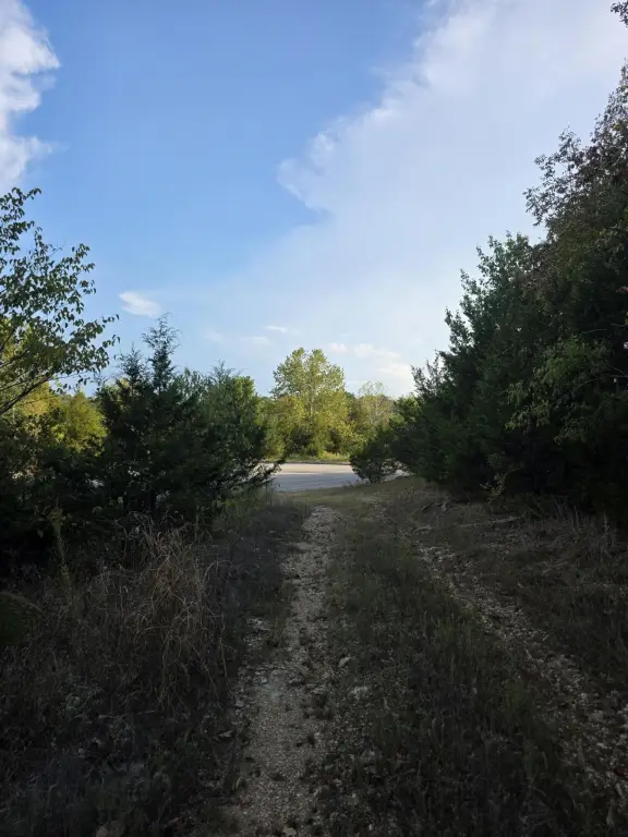 Picture 20