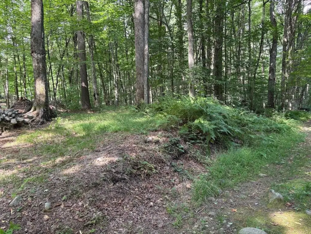 Picture 4