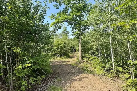 Wooded Recreational Land