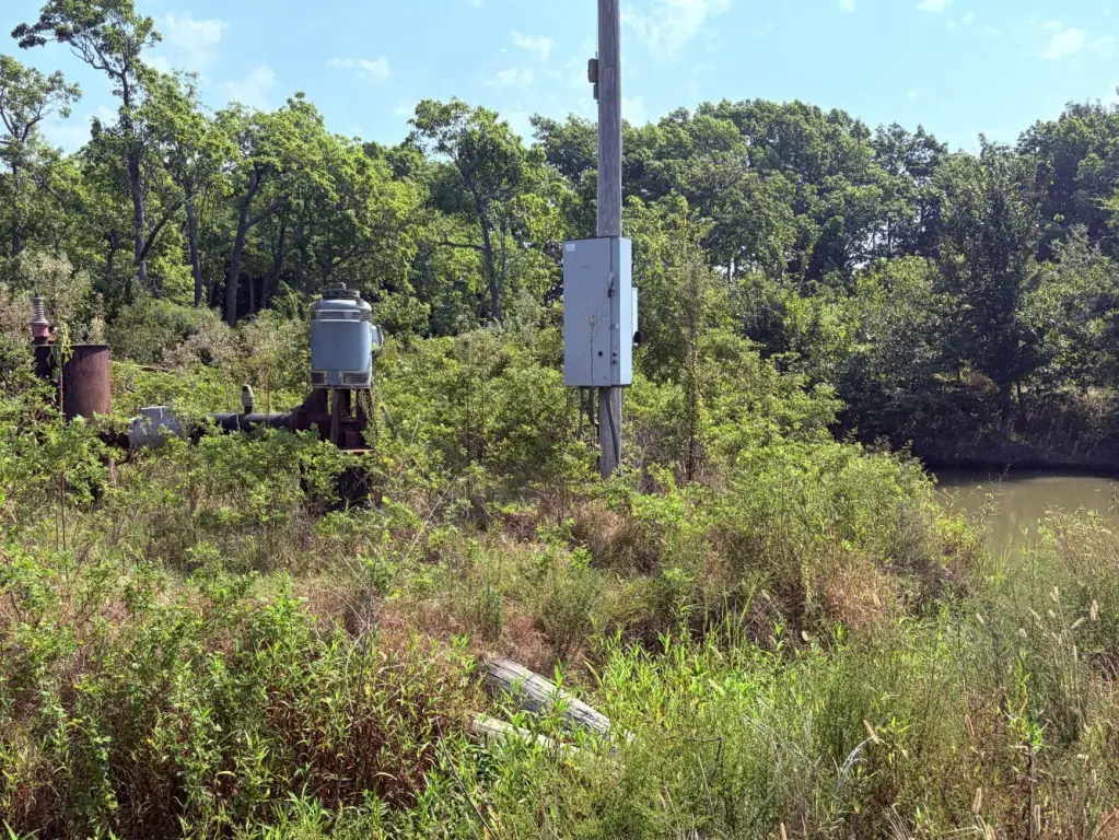 Picture 25