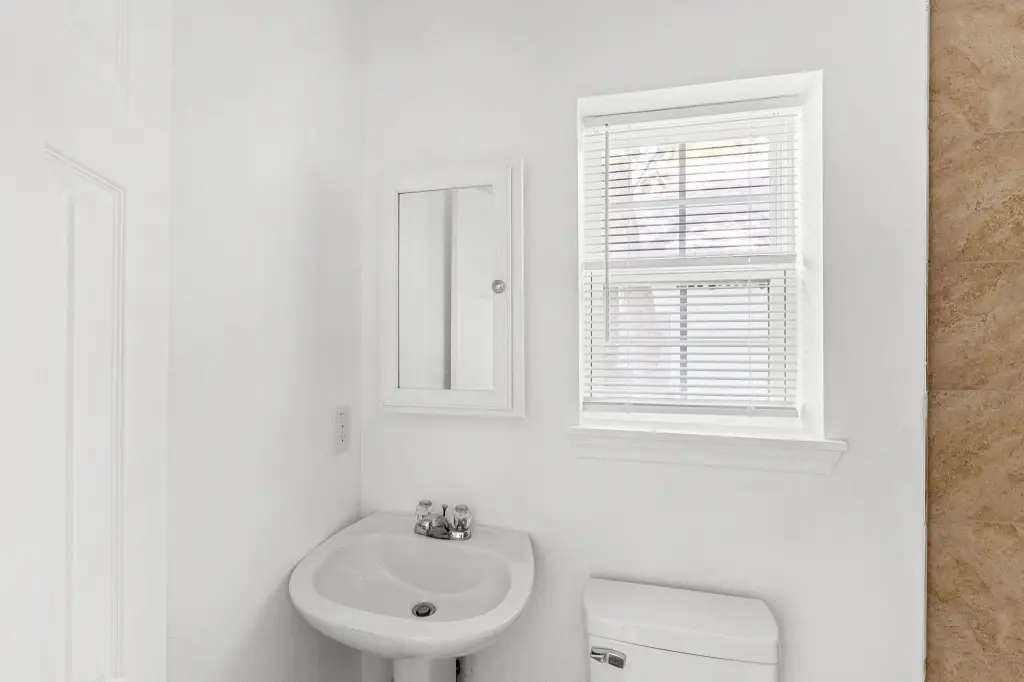 Picture 19