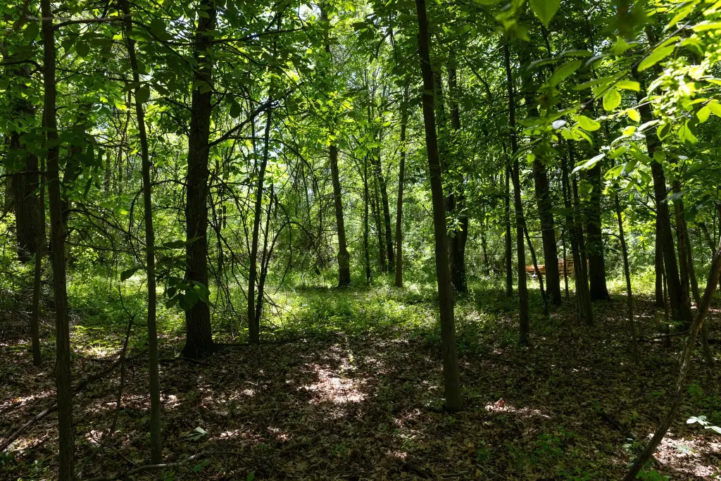 Picture 14