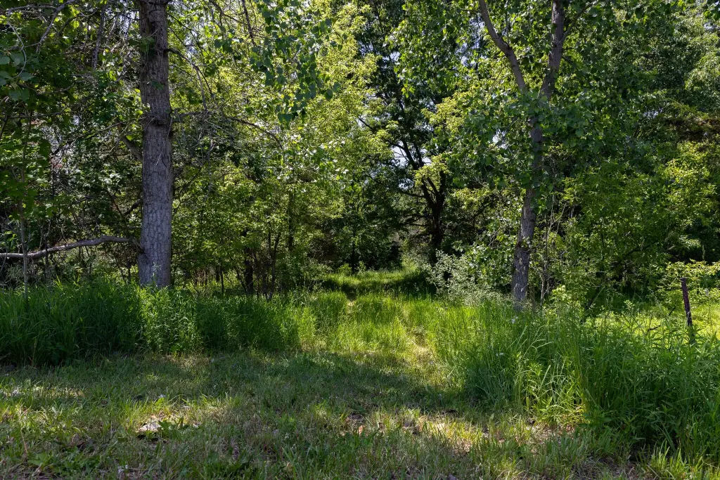 Picture 29