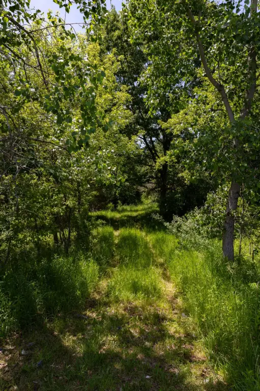 Picture 28