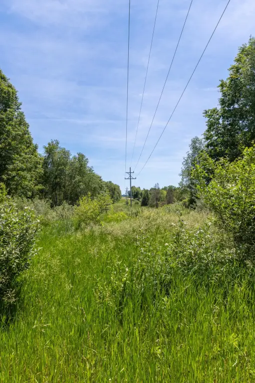 Picture 25