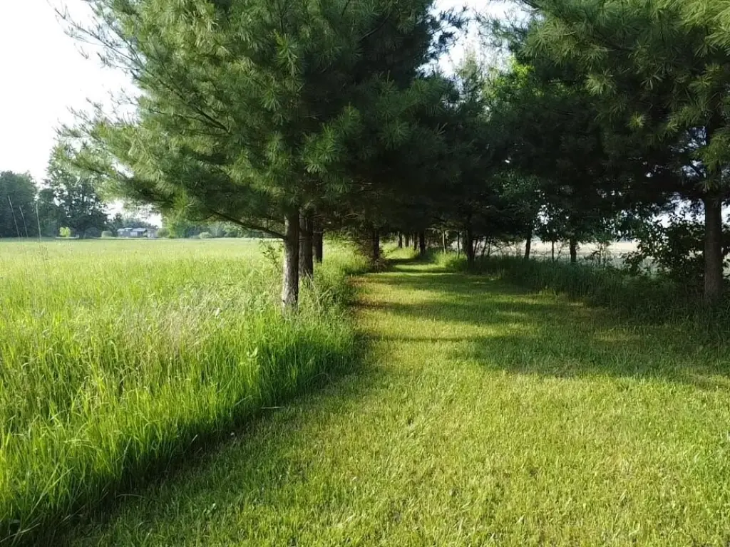 Picture 12