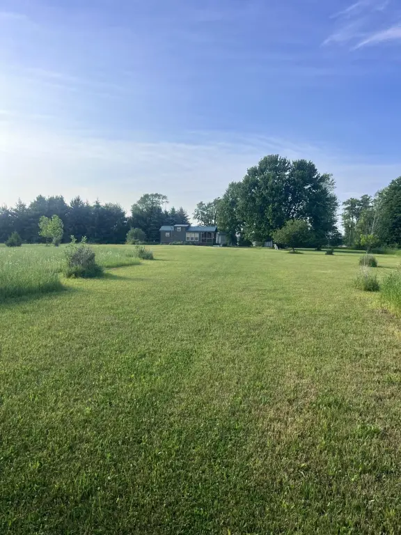 Picture 25