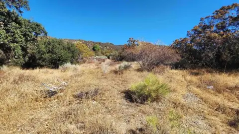 Half-Acre Farmland Parcel
