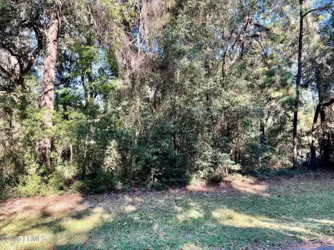 Residential Land Near Hunting Island