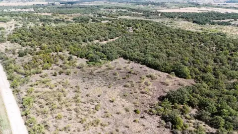 Wildlife-Rich Land Near Brownwood, TX