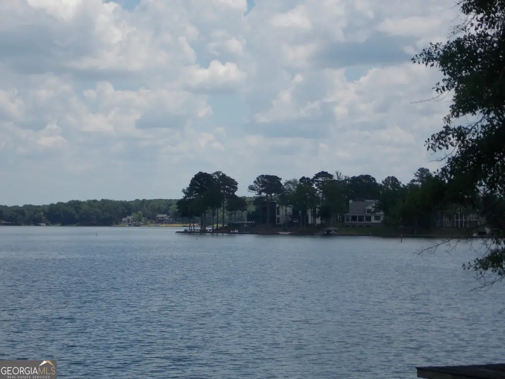Picture 8