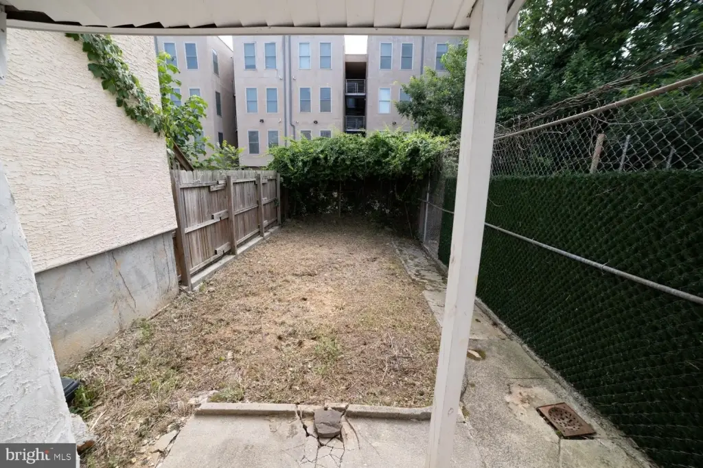 Picture 15