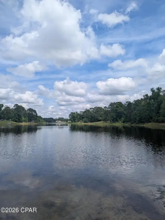Picture 17