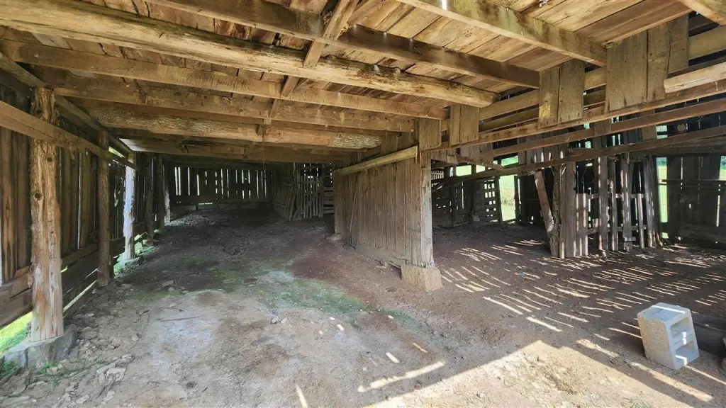 Picture 14