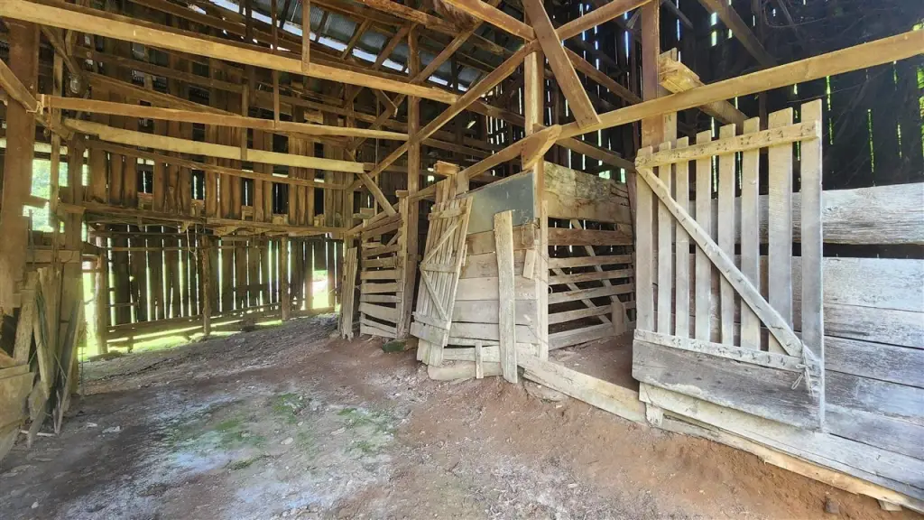 Picture 15