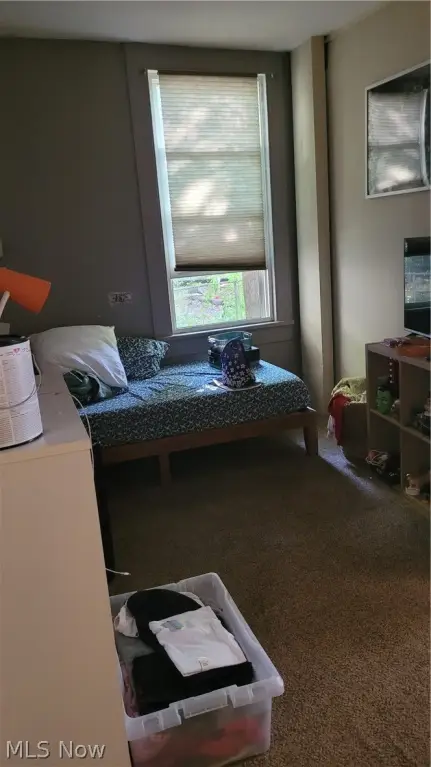 Picture 31