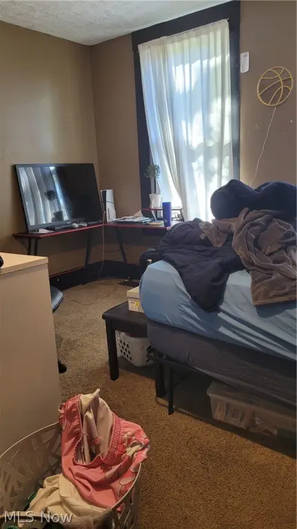 Picture 28