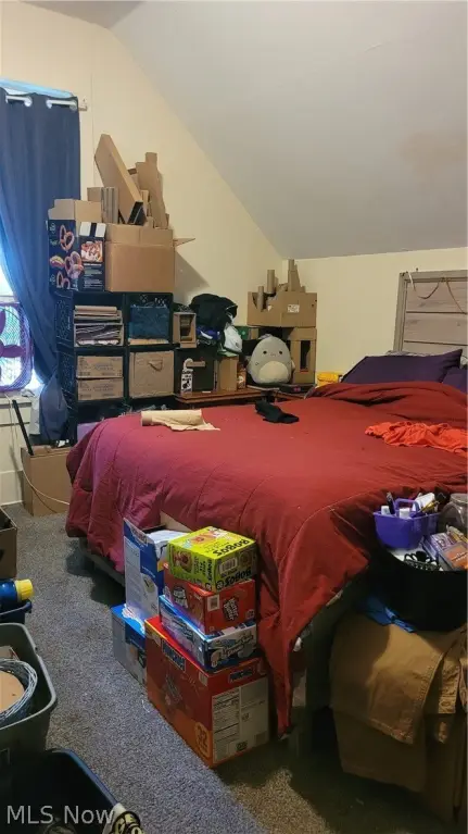 Picture 14