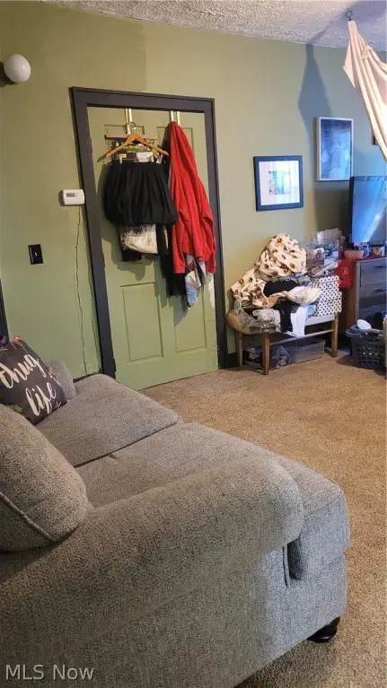 Picture 27