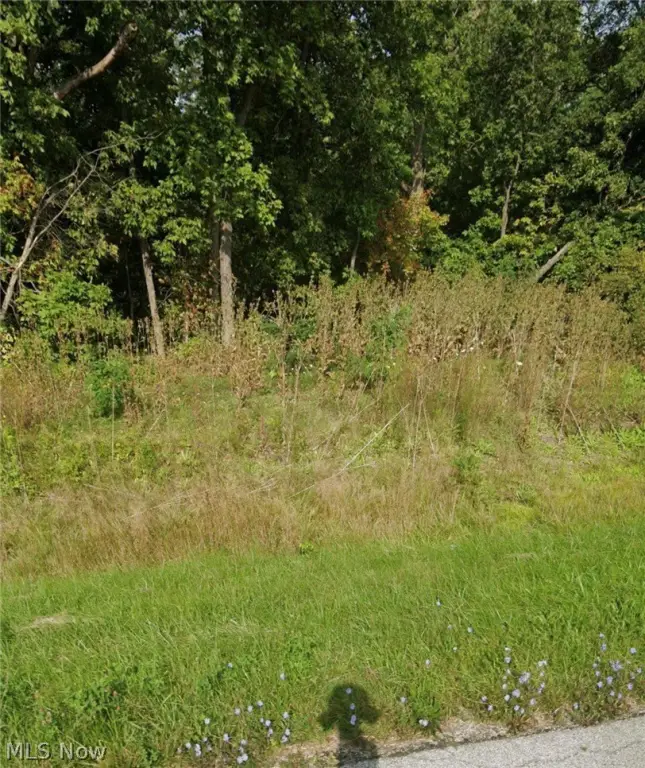 Picture 5