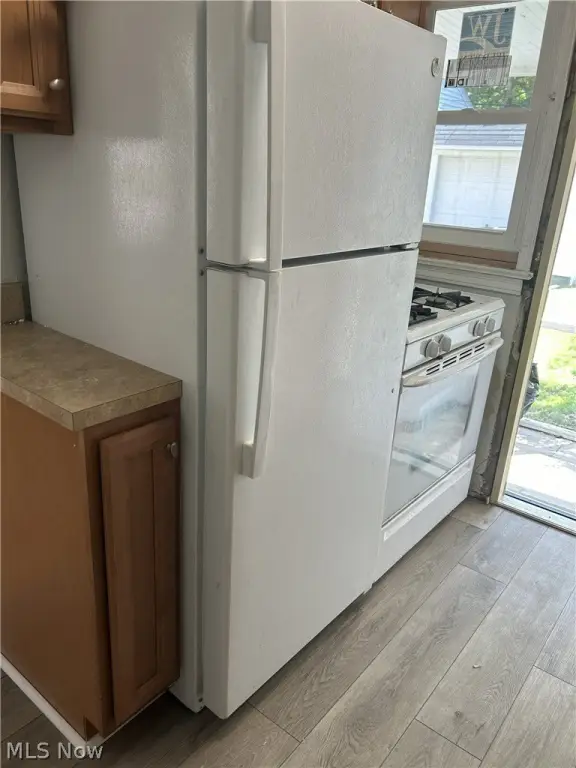 Picture 11