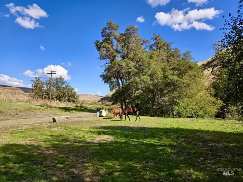 28.65 Acres Near Asotin Creek