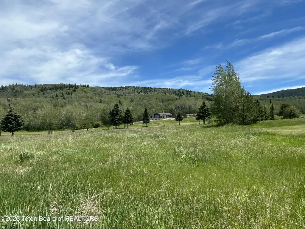 Picture 9