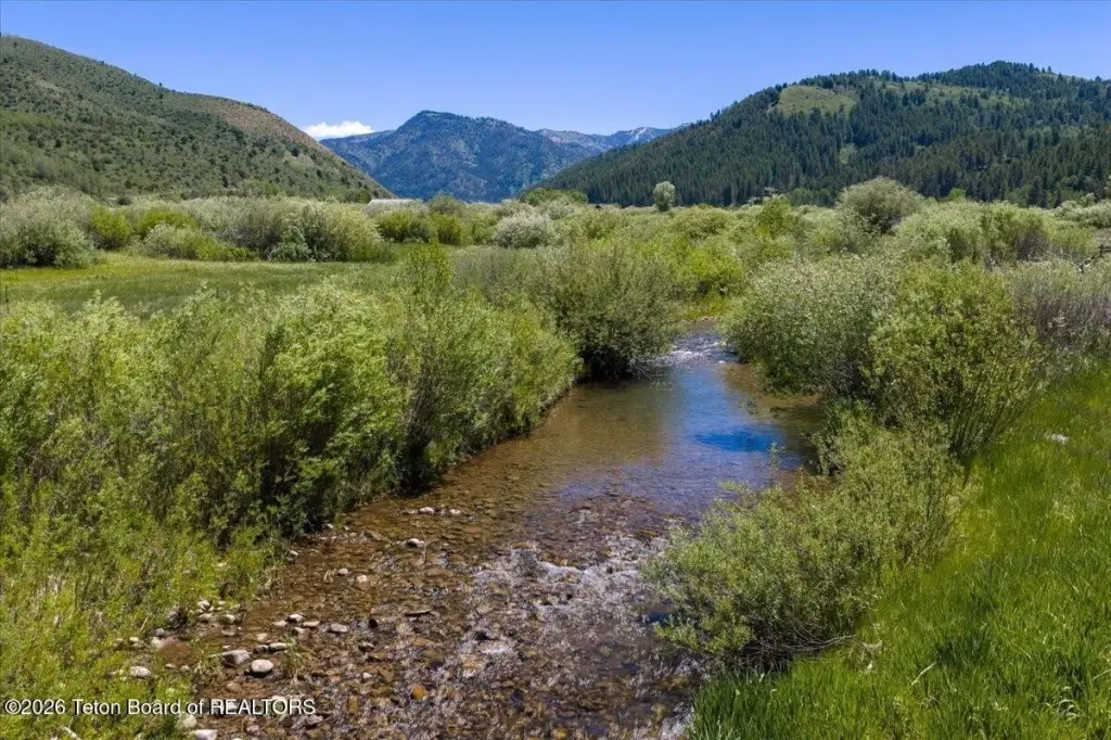 Picture 21