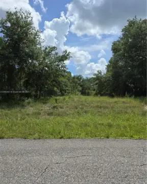 Residential Land in Lehigh Acres